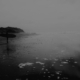 darkened surfer